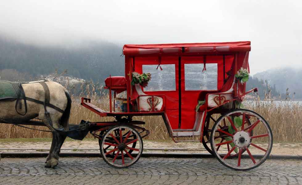 red and white horse carriage on road